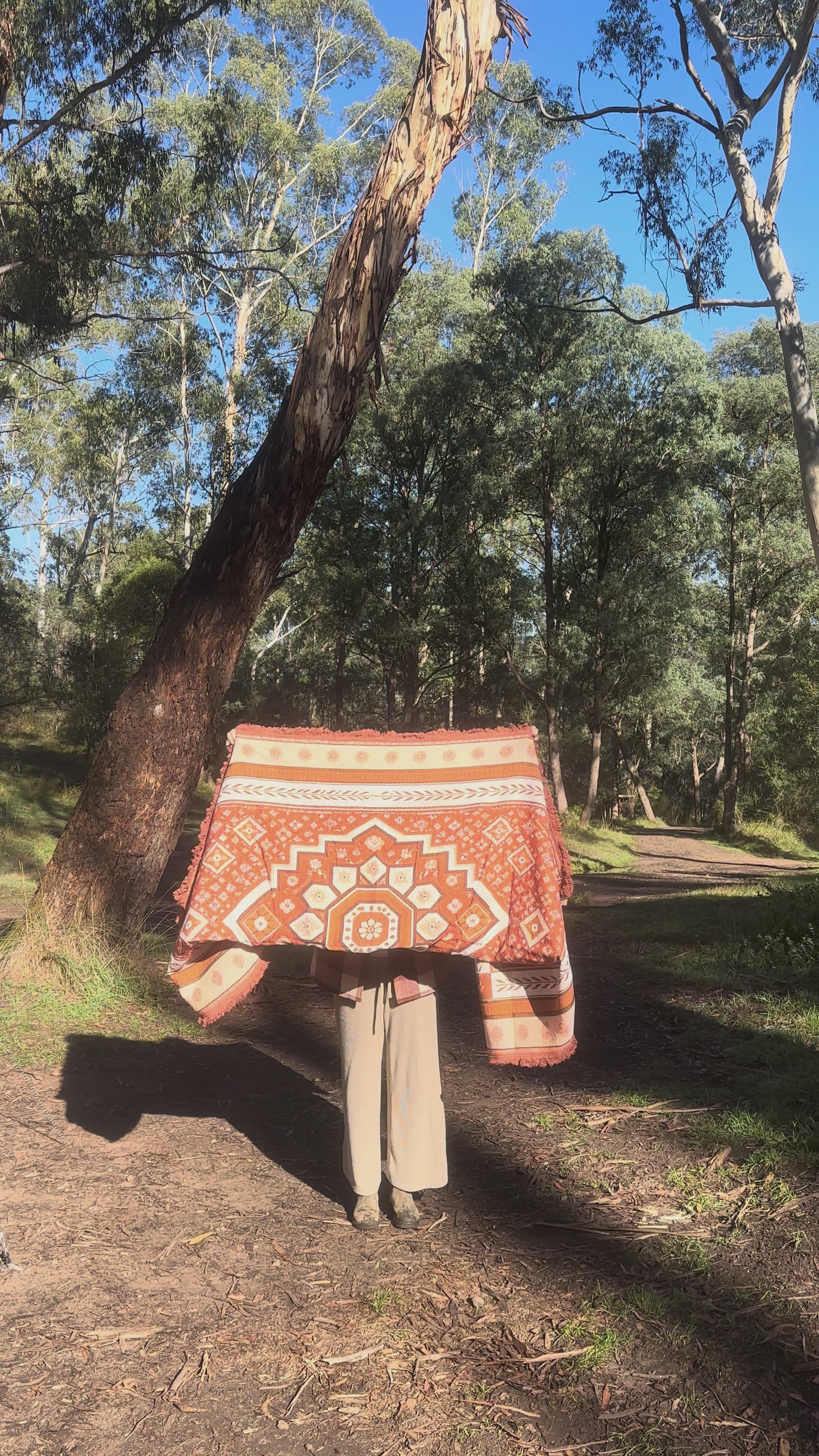 The Red Center Rug